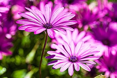 《木卫四协议》首席技术官Mark James专访：创造不断进化的智能怪物